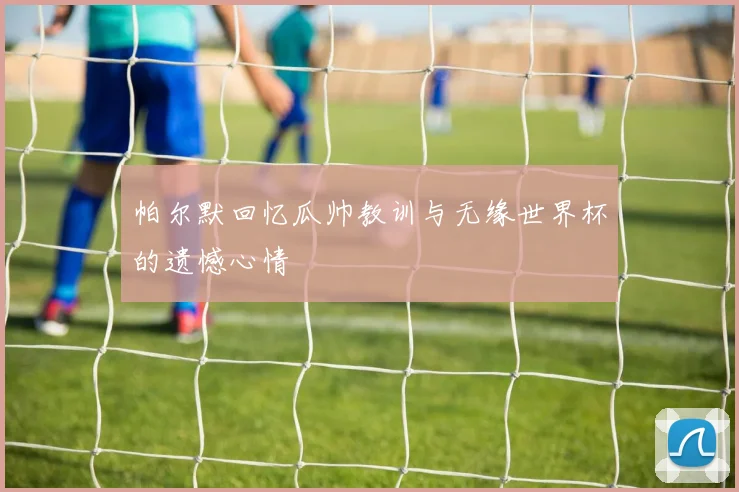 帕尔默回忆瓜帅教训与无缘世界杯的遗憾心情