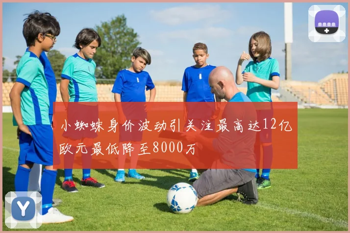 小蜘蛛身价波动引关注最高达12亿欧元最低降至8000万