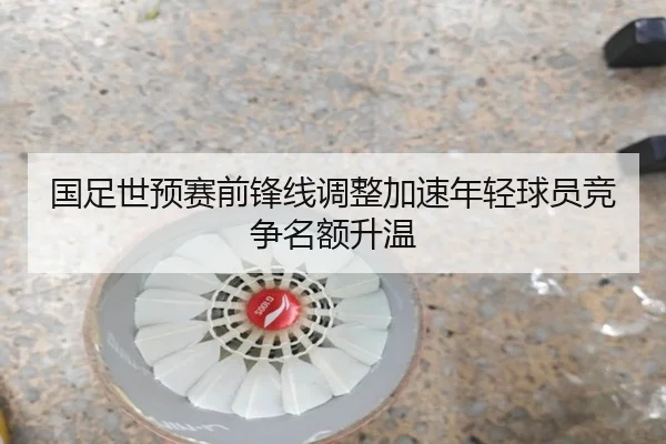 国足世预赛前锋线调整加速年轻球员竞争名额升温